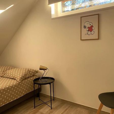 Appartement Dans Une Grange Renovee 스트라스부르 외부 사진